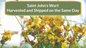 Freshly Harvested Saint John's Wort